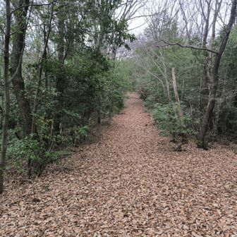 きれいに整備されています