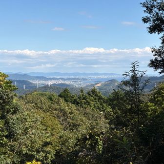 山頂より

