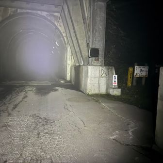 裏銀座や湯俣温泉、伊藤新道はこのトンネルを抜けて高瀬ダムの堰堤の上からスタートですが、今回歩く船窪新道はトンネル手前を右折してトンネルの上を登っていきます。
それにしてもガスガスのトンネルは怖いですね〜👻　ブラックスタートに慣れたワタクシでも流石に怖いです😱　先日、このガスのトンネルを歩いたフォロワーさんが「ホントに怖かった」と書いてました😨
でもタクシーはこの季節は５時始発なので、早く登りたい方はこの長〜いトンネルを歩くしかありません🚶😆