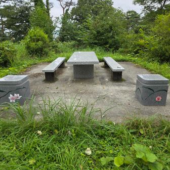 休憩場所だけど眺望なし