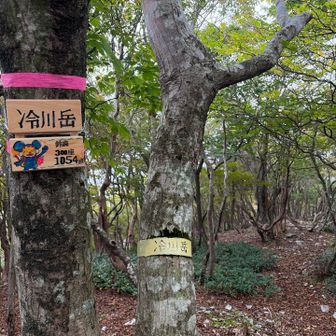 冷川岳でゴールとします