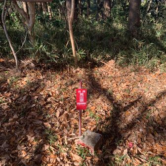 鬼越山の山頂の看板見当たらず