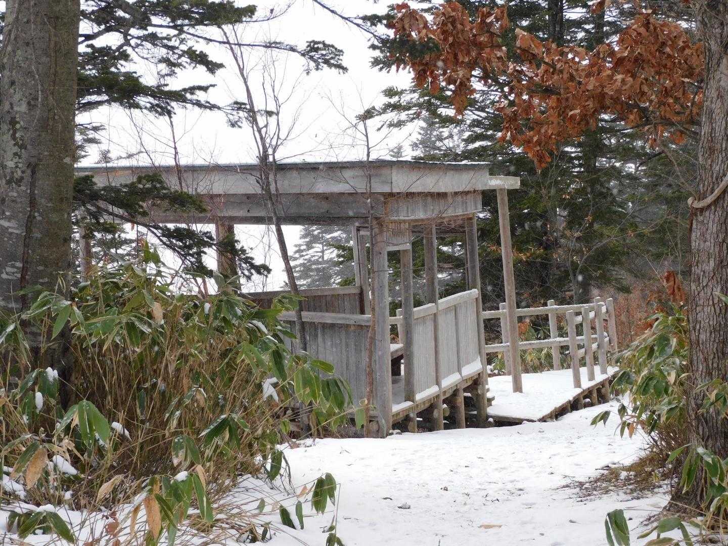 小屋🛖