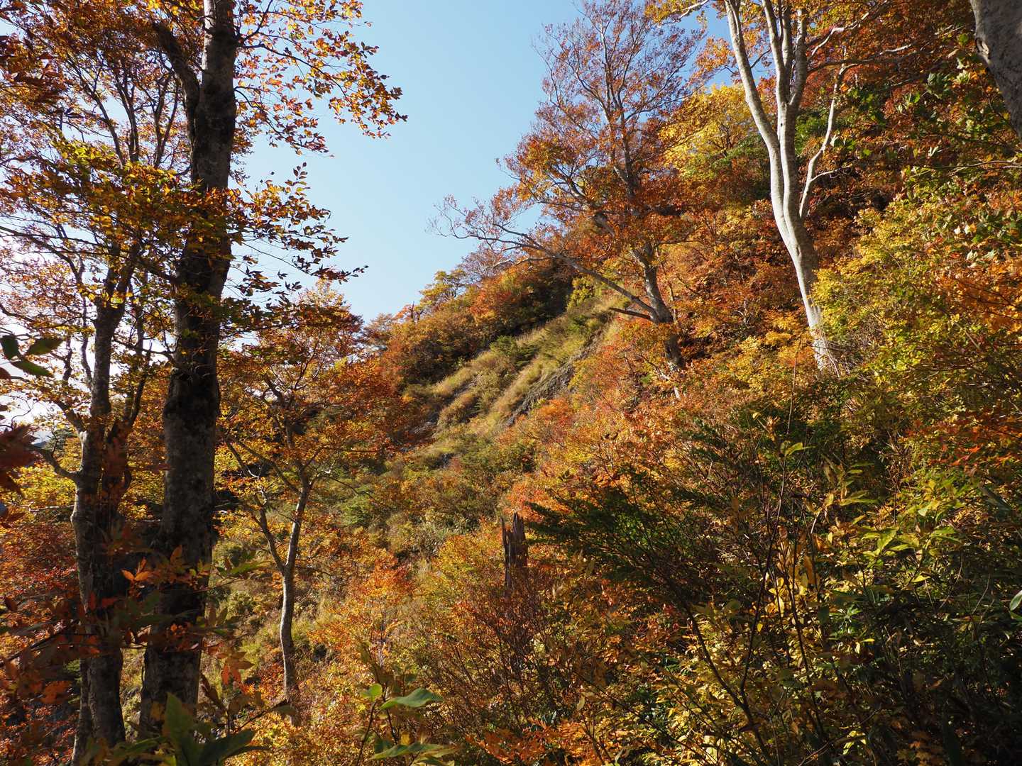 田子倉只見沢登山口-剣ヶ峰-浅草岳-鬼が面山-南岳-マイク 縦走コースの写真