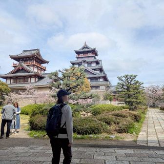 平たいバニラ