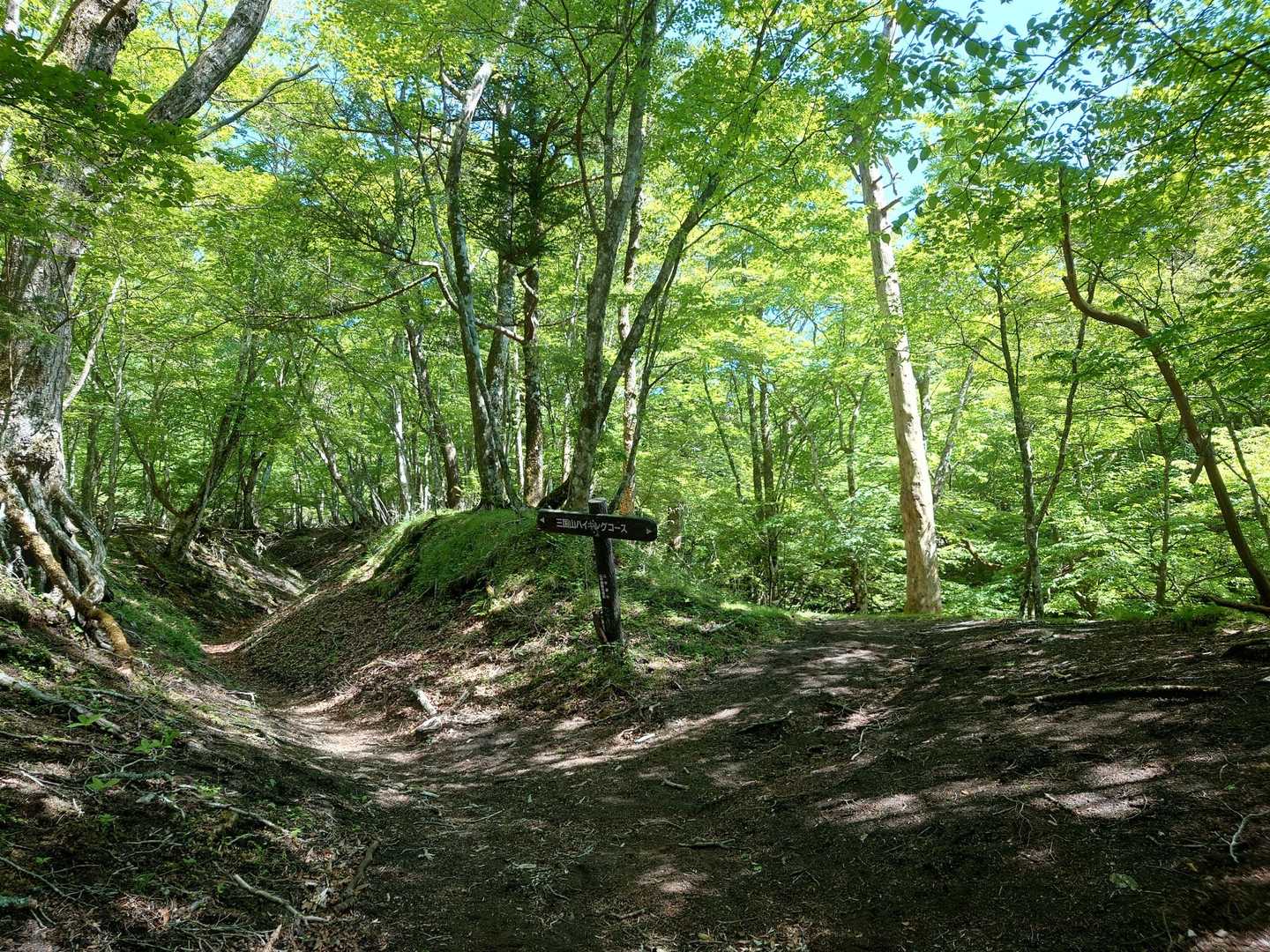 まずは右へ→立山を過ぎた展望台で富士山を見て→あざみ平へ反時計回りで。お目当ての⚪見れるとよいのですが。