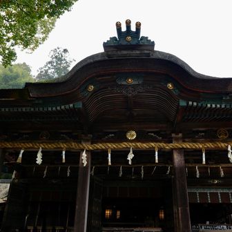 本宮までで帰る人が半数といったところ