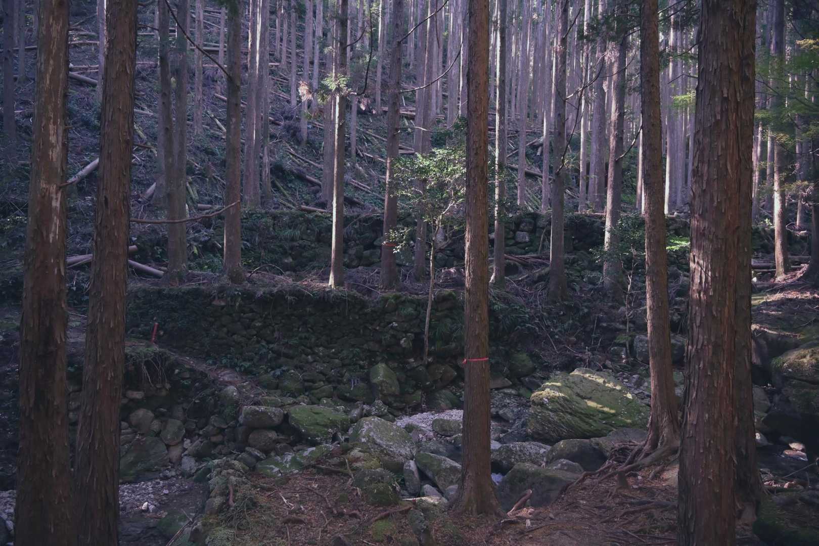烏帽子山俵石登山口-烏帽子山 往復コースの写真