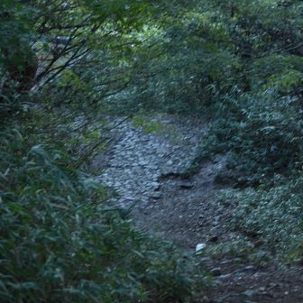 東屋に行ってみるのだ。