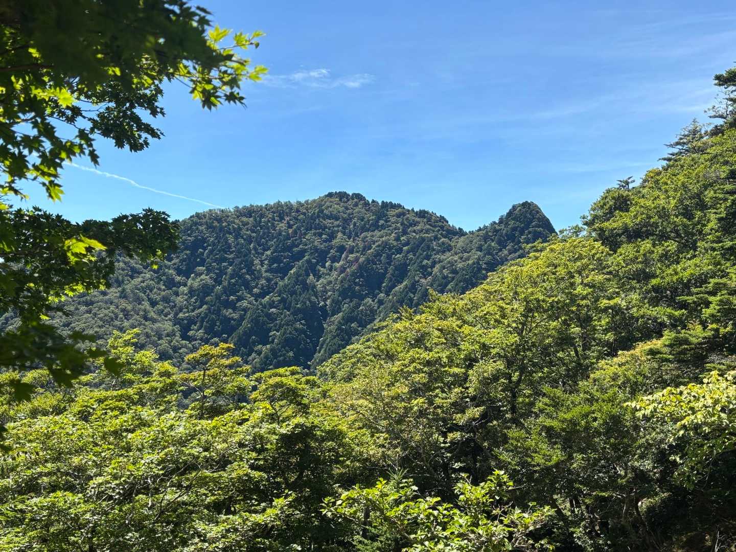 振り返ると、稲村と大日