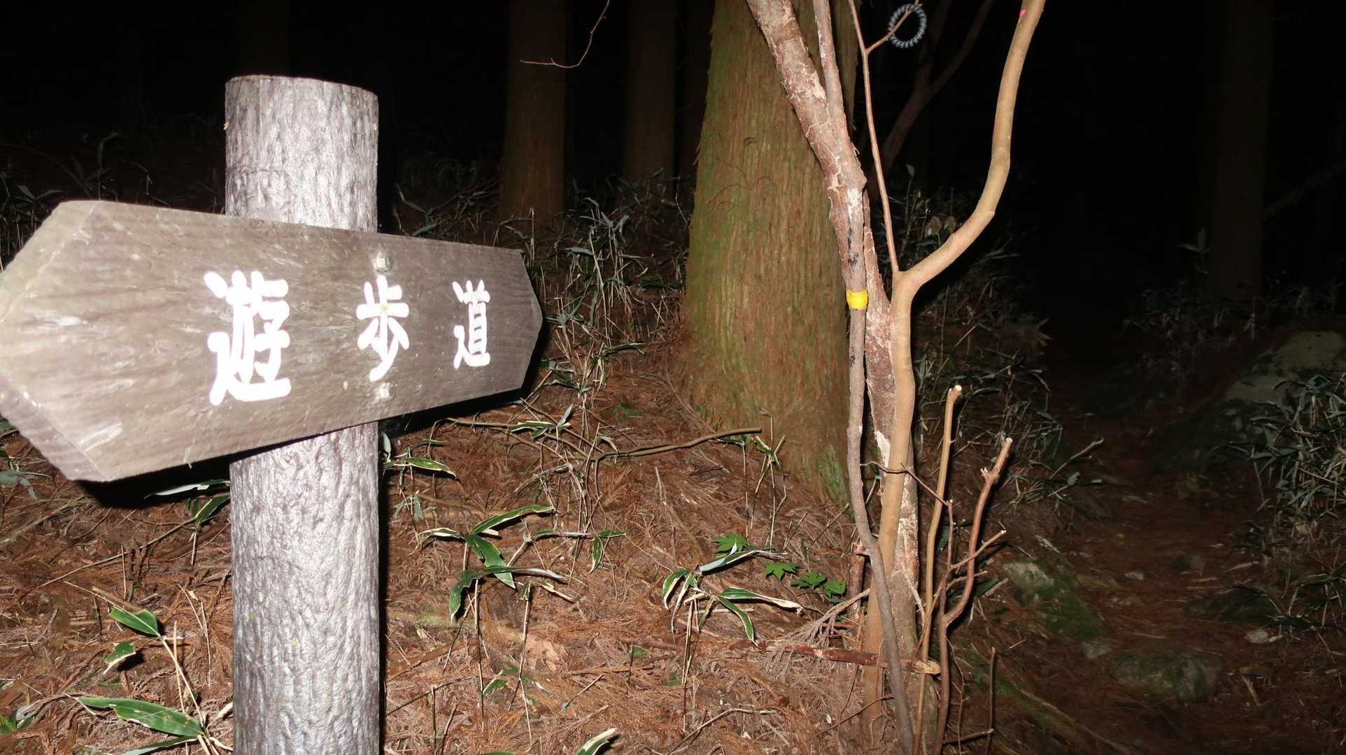 真っ暗🫥