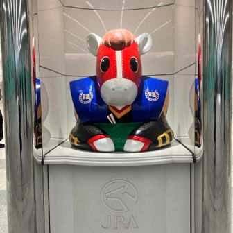 来年は午年🐎
勝てるか今日は⁉️
どっちなんだい💪( ᐛ)ﾊﾟﾜｧｧｧ