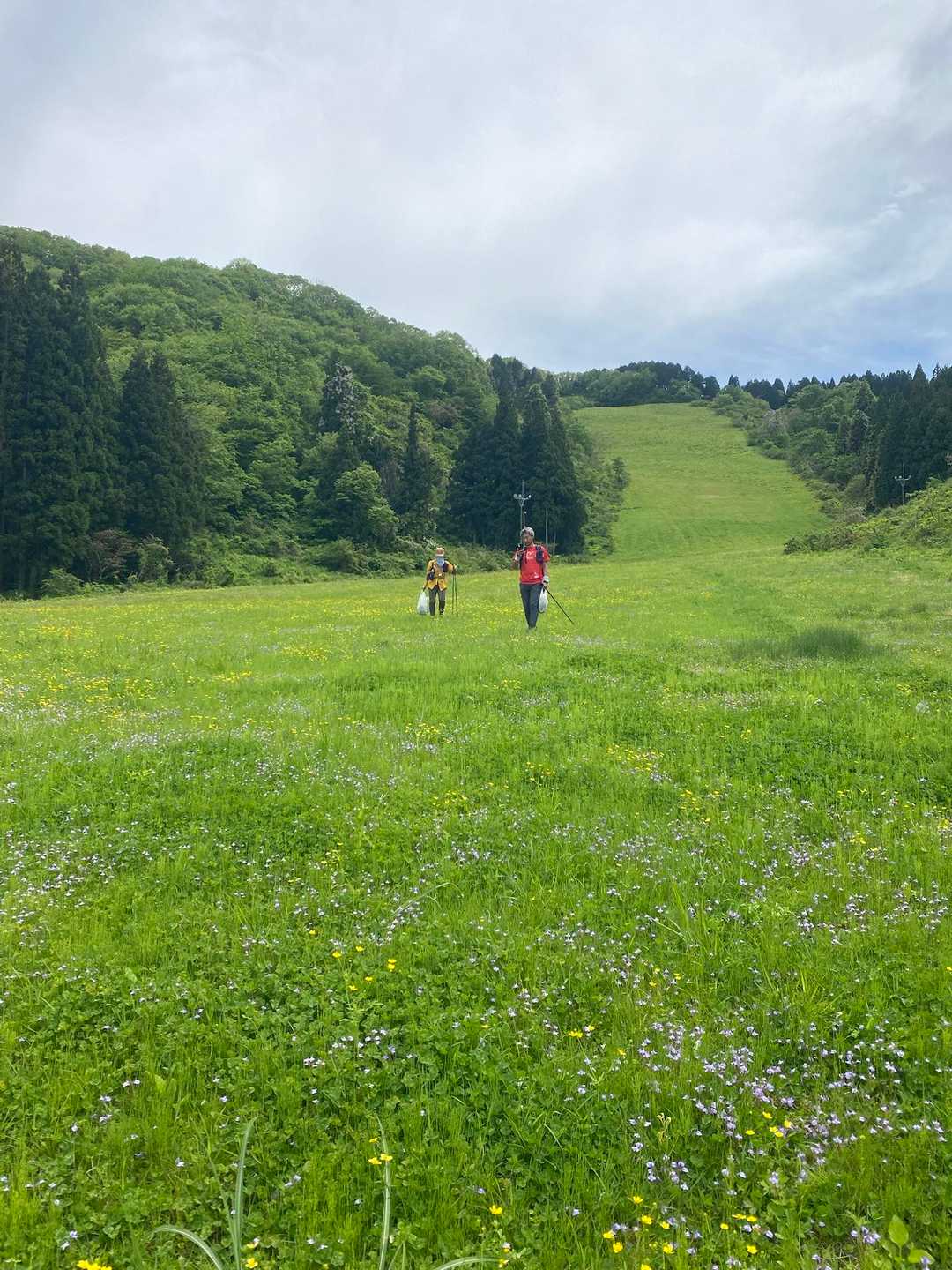 大倉岳登山口-ほとけ峠-大倉岳 周回コースの写真