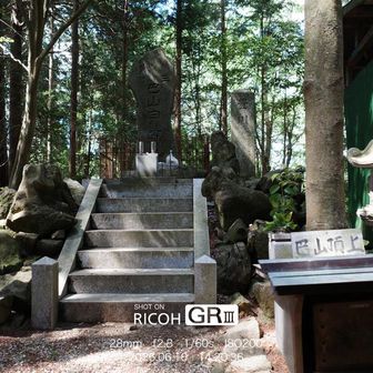 巴山山頂。