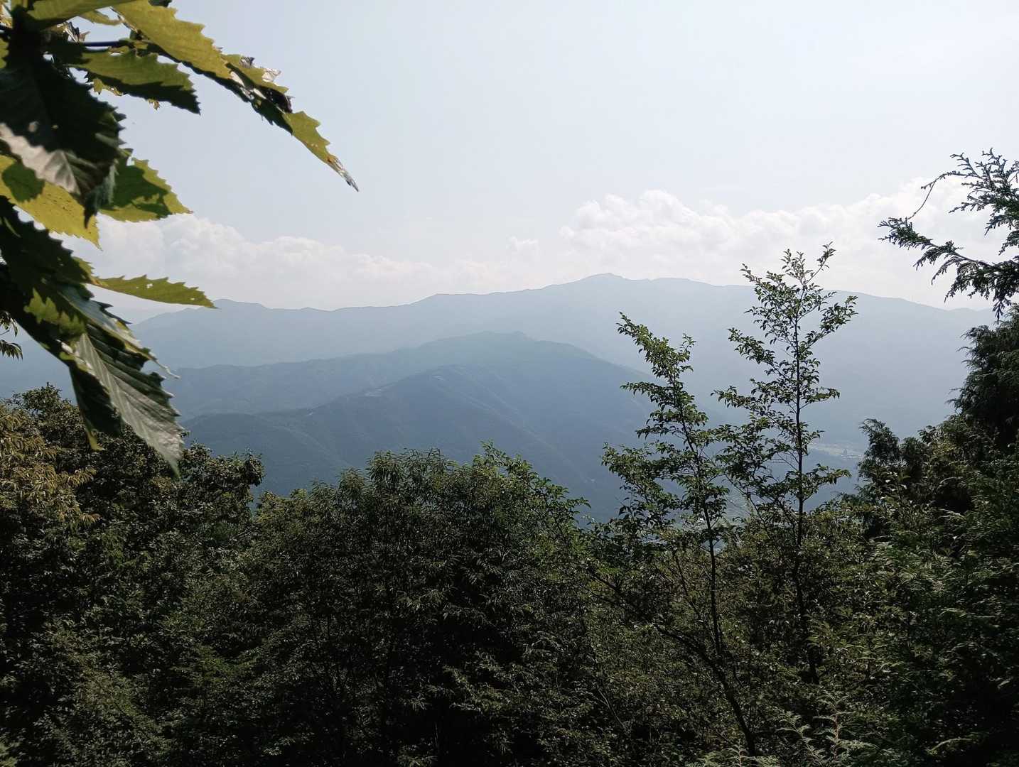 巨石の上から御前山⛰️