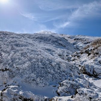 9合目氷の薬師の標識手前
大きな岩🪨が歩きにくくって
水たまり(池？)があり
先週ドボン💧したとこ😂
ここ歩いた事がある方なら
きっと分かるはず
苦手なのは私だけかしら🤔
