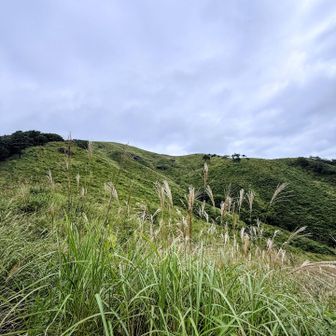 晴れてたらなぁー☁️
青空だったらなぁー☁️