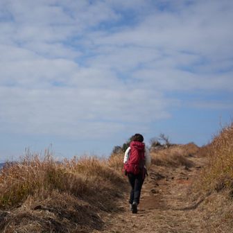 日差しが出ると暖かい🌤️