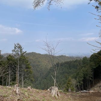 草戸山の眺望
橋本方面かな？