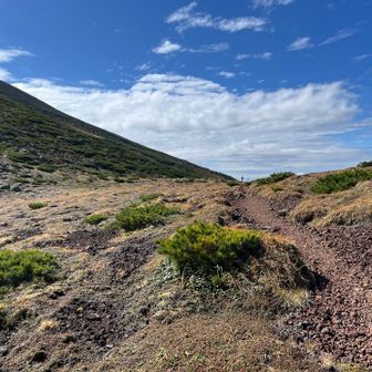 見えた！
あの棒が分岐点の印