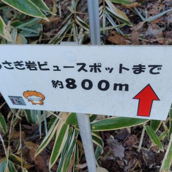 うさぎ岩まで後800㍍もう少し。
頑張りましょう。