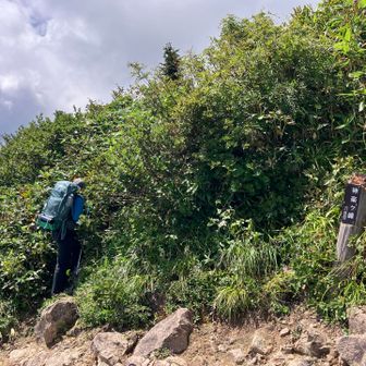 YAMAPピークなので、ヤブを掻き分け上がってみた。すぐだけど、山頂らしき場所は狭く、先はまたすぐ急斜面でアブナイ💦