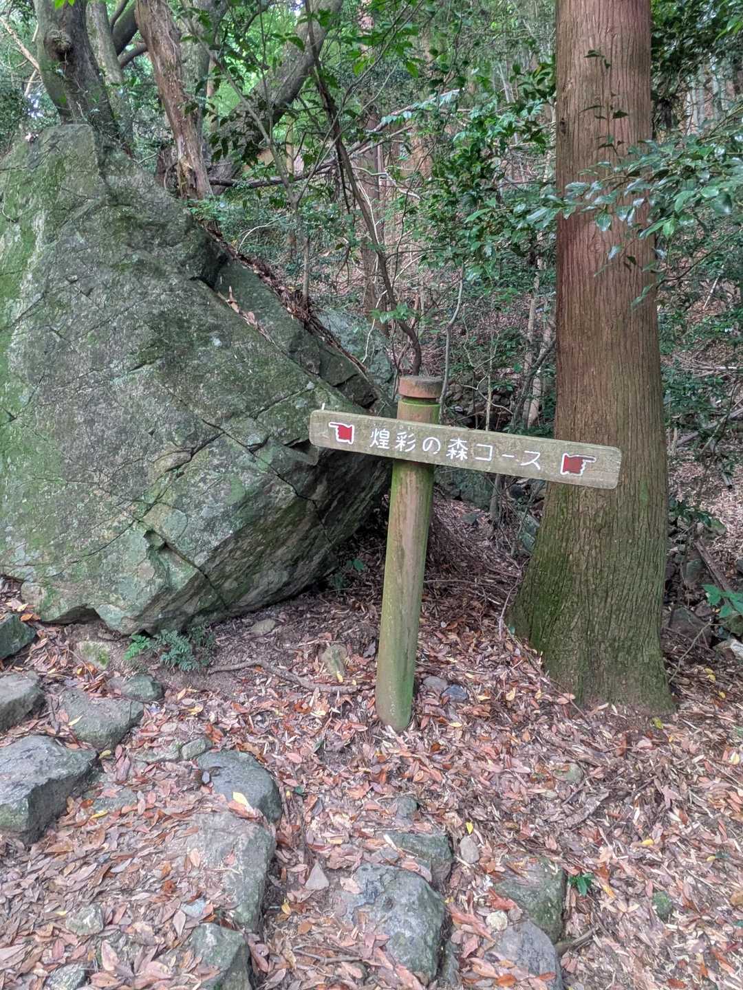 煌彩の森コース