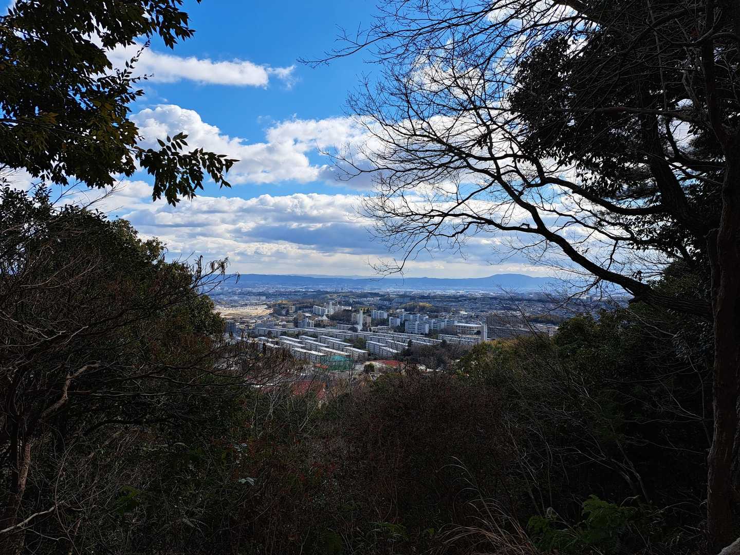 外院バス停 周回コースの写真