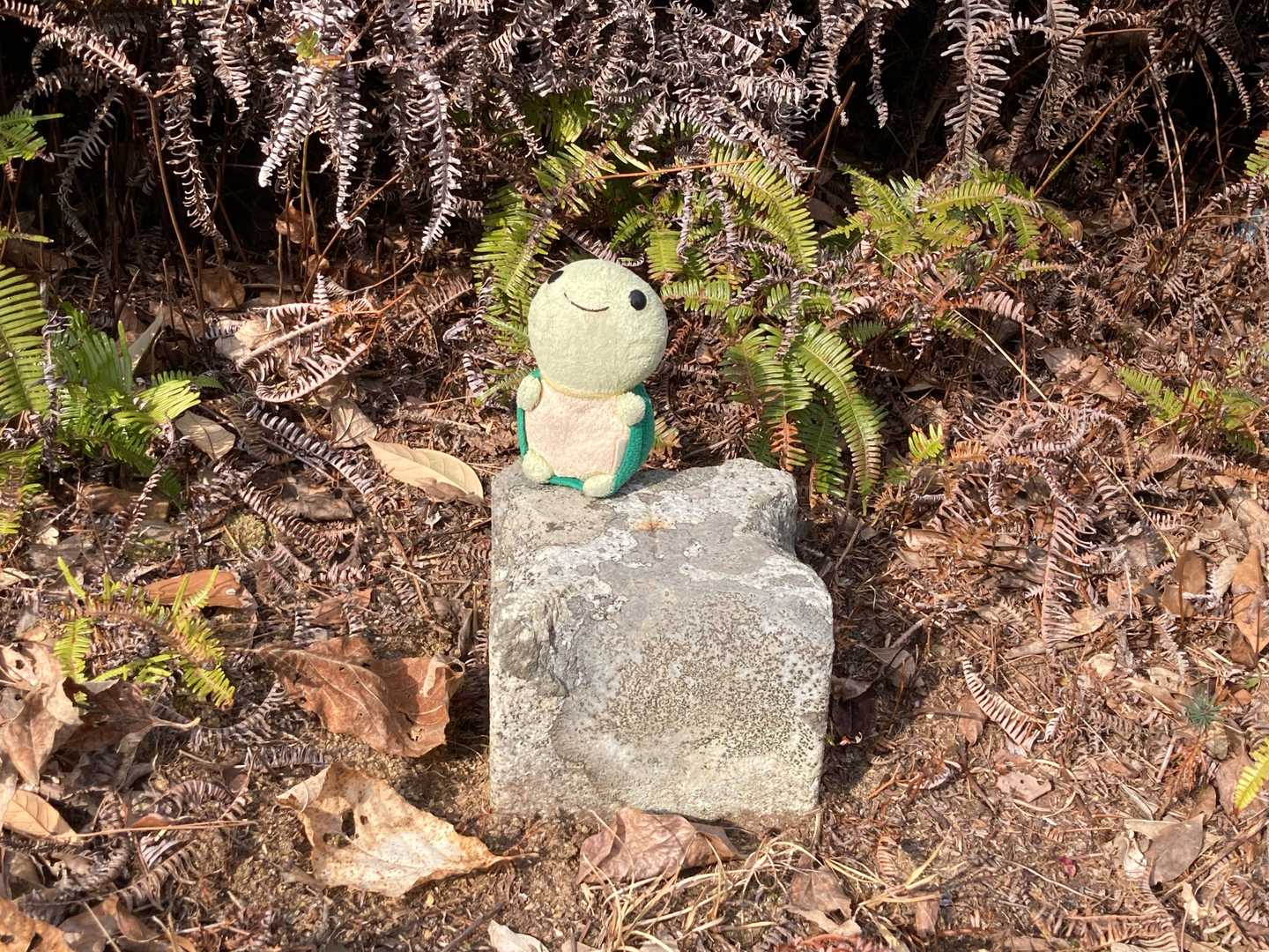 鉄塔の少し手前に三角点があった。
山頂プレートは見つからなかった。