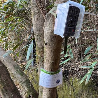 カモシカ生息調査中のカメラ