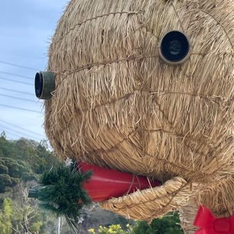 にんじん🥕食べてる