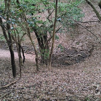 谷間に水場です  