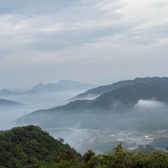 霧と山々が幻想的にみえる