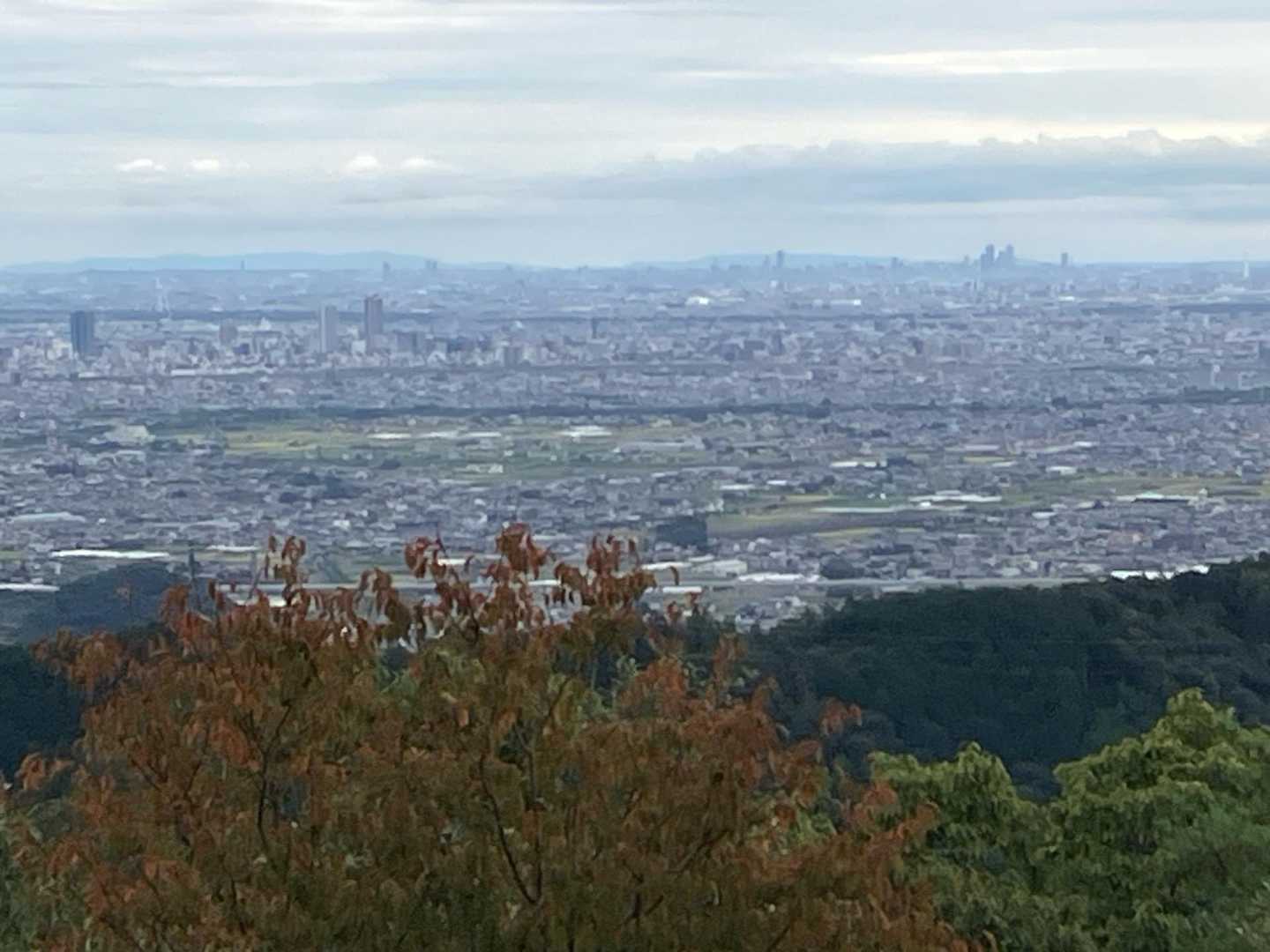 左手は岐阜市街、右手奥は名古屋の高層ビル🏙️