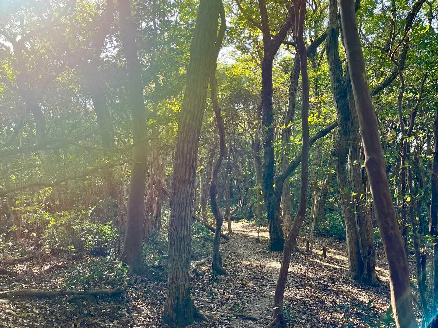 山道も走りやすいです(´˘`＊)
