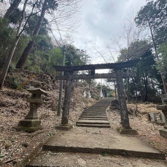 最近、伐られたみたいだ。