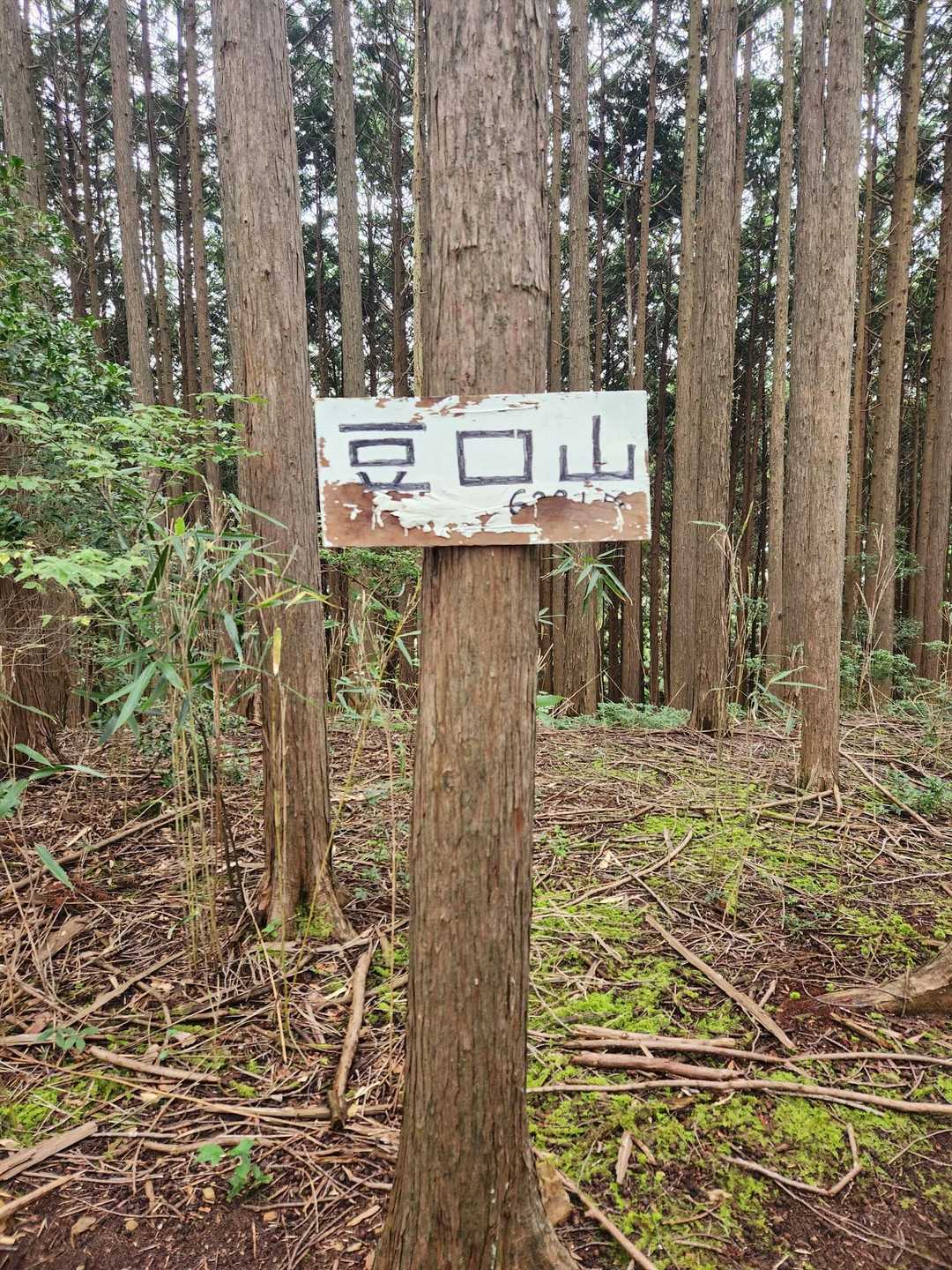 登頂🫡