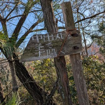 土田山と〜ちゃこ😃
標識がなくなってる😞