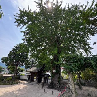 下山完了
おつかれさん