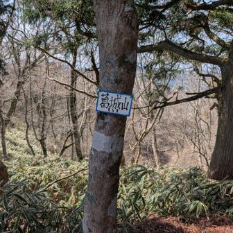 葛城山858