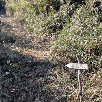 登山口に到着。ここから駐車場まで、舗装路を上り返します