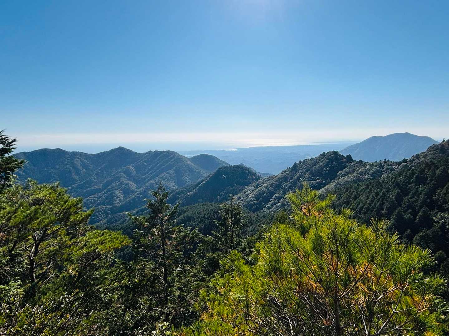 烏帽子山俵石登山口-烏帽子山 往復コースの写真