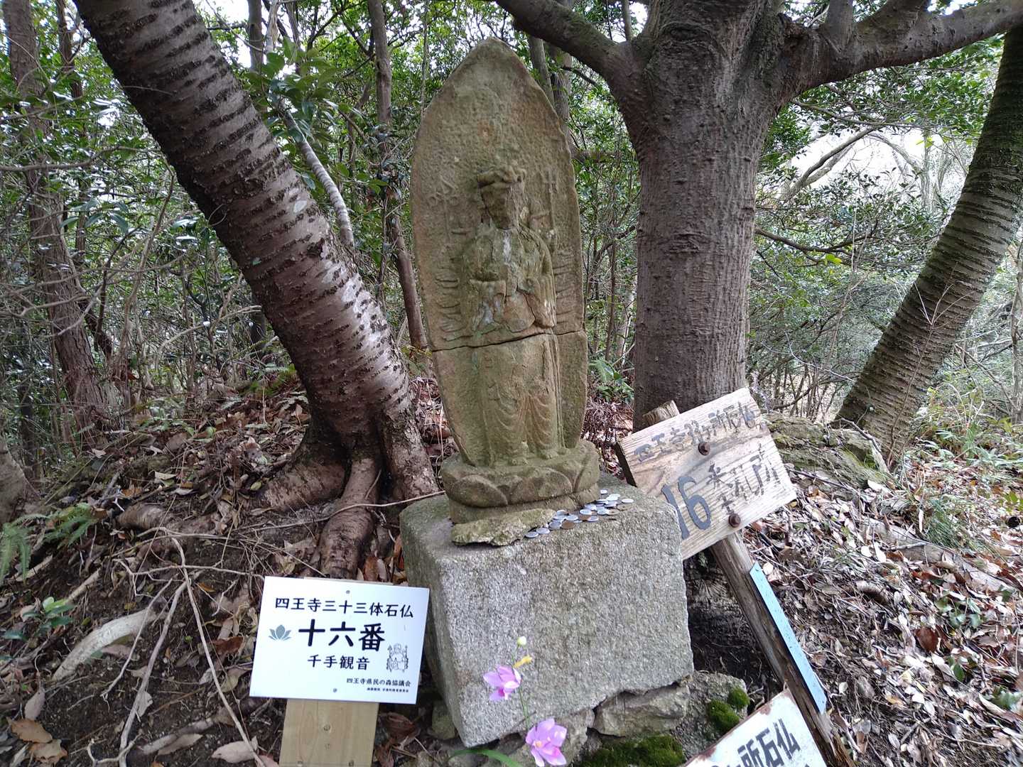 十六番  千手観音さま