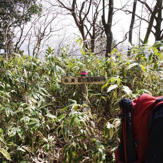 岳見岩へ向かうも結構下ってるし山頂よりよく見えるとも思えないので引き返す。