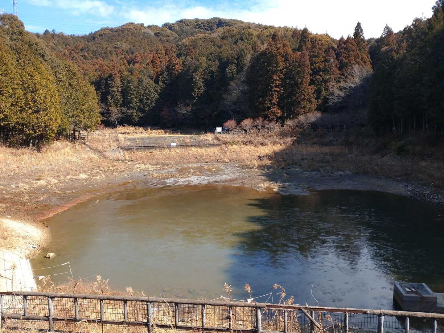 池も氷が張ってました。