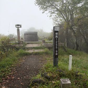 誰もおらん…