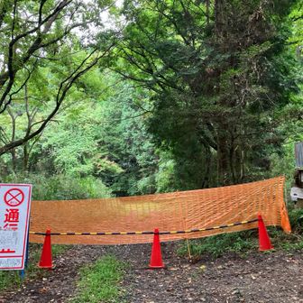 物見山下🪧林道はココから通行止🚷