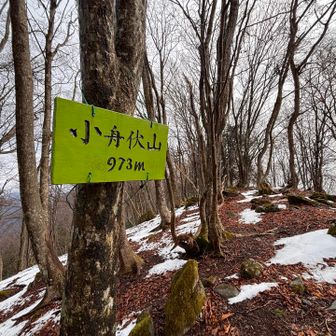 ついたぁ〜🙌
1座目🏔️