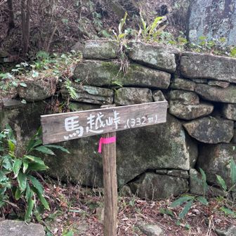 楽しく下って分岐の馬越峠
熊野古道伊勢路のルートだよね？
いつか歩きたい🚶
まだ小辺路だけ🤭

ここから次のピークが1番しんどかった😂
