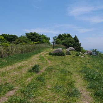 貫山山頂　　
最後の登りがきつかった